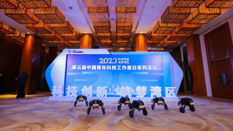 北京数字化解决方案：性价比背后的考量因素